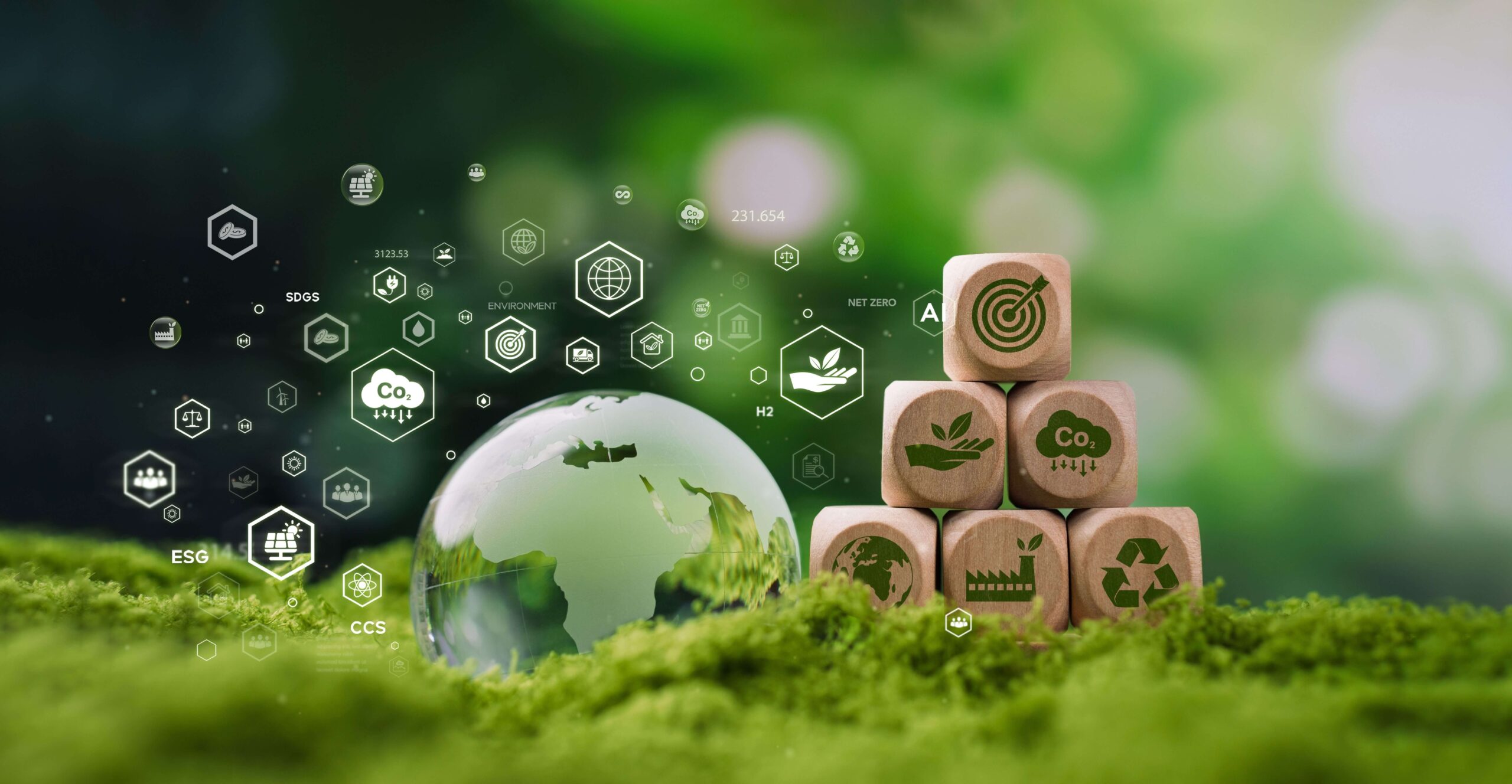 shutterstock 2692578735 reduit reduit 1 scaled shutterstock 2692578735 reduit reduit 1 scaled